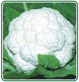 Cauliflower